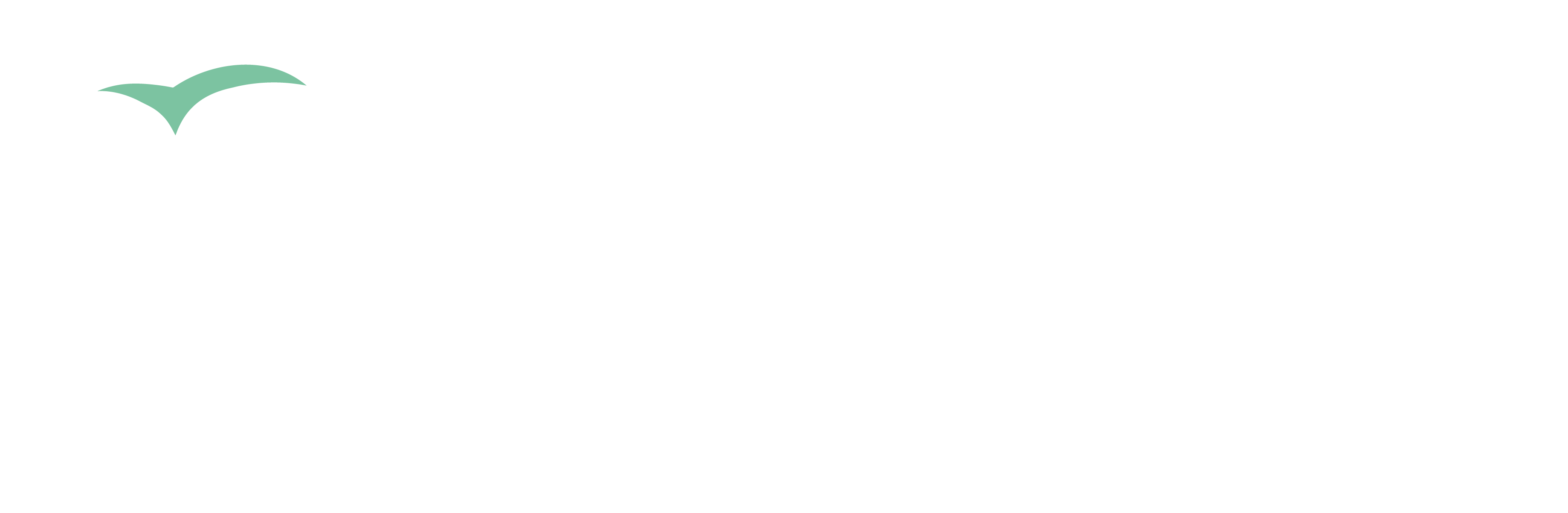Azul Dental Center